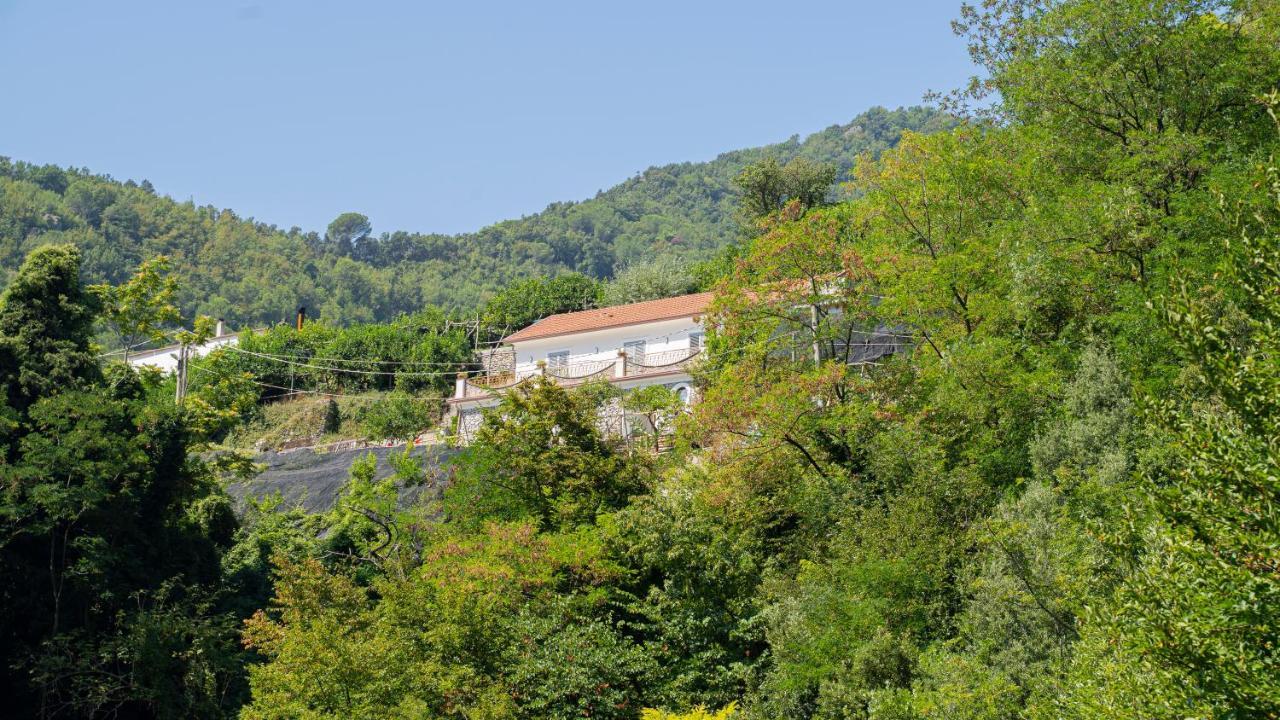 Tra Sole E Limoni Apartments 特拉蒙蒂 外观 照片