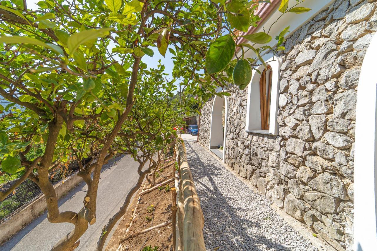 Tra Sole E Limoni Apartments 特拉蒙蒂 外观 照片